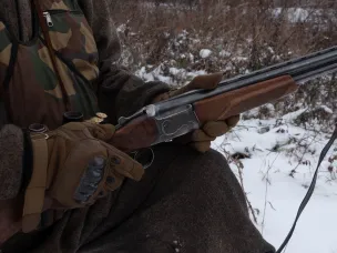 Для контроля популяции хищников в Нижегородской области в 2025 году охотники добыли 60 волков и 215 лисиц   